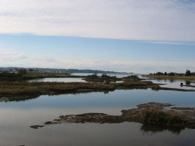 estuary scenic 2.jpg estuary scenic 2.jpg